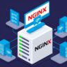 How to Set Up Nginx as a Reverse Proxy
